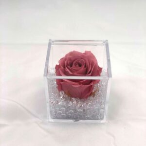 rosa stabilizzata