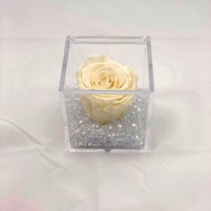 rosa stabilizzata