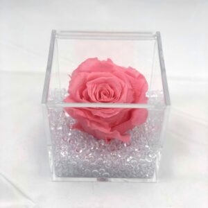 rosa stabilizzata