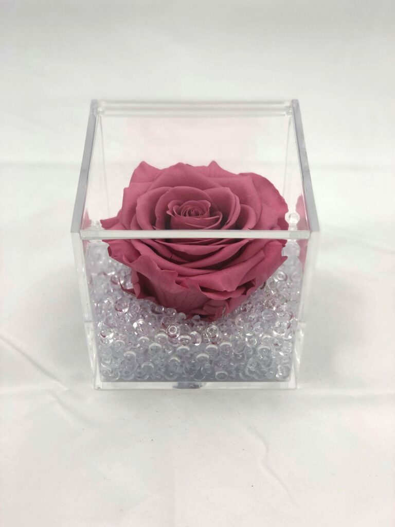 Rosa stabilizzata in cubo cm 10×10 colore rosa cipria