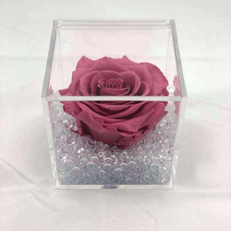 rosa vera regalo donna pensiero rossa durevole per sempre stabilizzata profumata cubo 8x8x8 plexiglass 