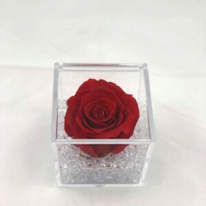 rosa stabilizzata