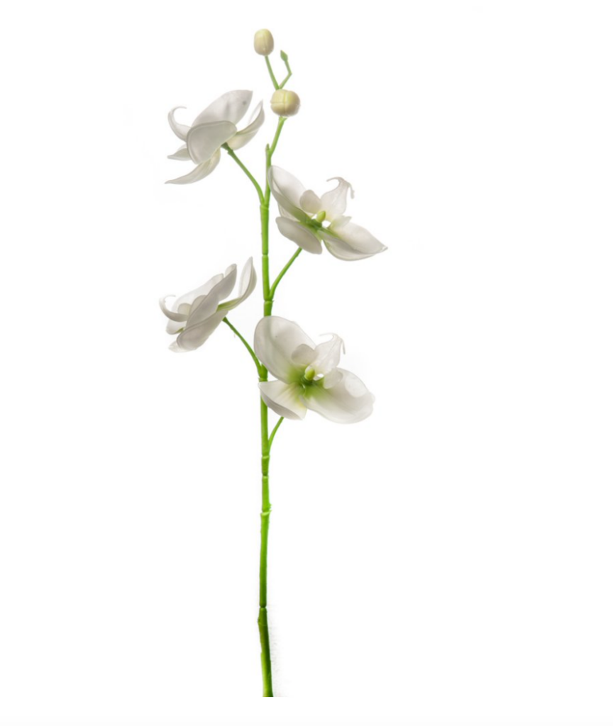 Fiore di phanalopsis in vetroresina