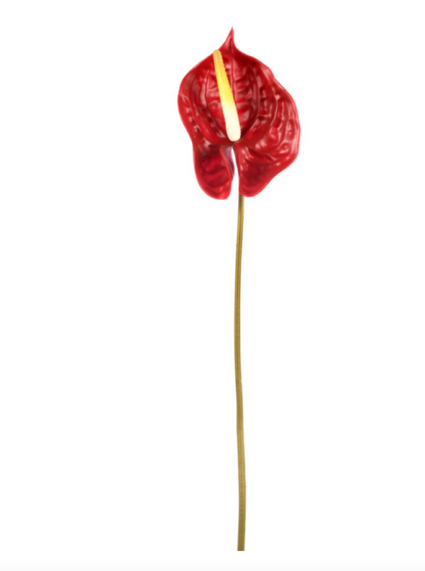 Anthurium in silicone