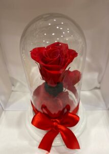 rosa stabilizzata