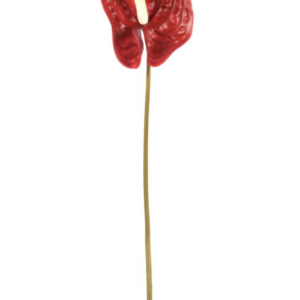 Fiore Artificiale Anthurium in silicone rosso con sfumature