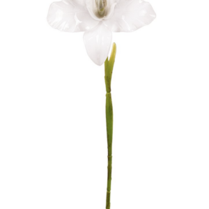 Fiore artificiale in vetroresina orchidea cattleya White