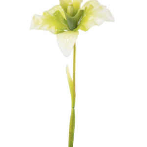 Fiore artificiale in vetroresina orchidea cattleya verde con sfumature