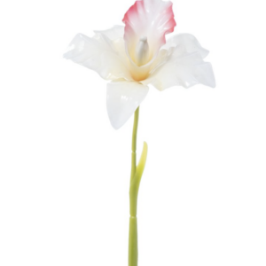 Fiore artificiale in vetroresina orchidea cattleya crema pink con sfumature