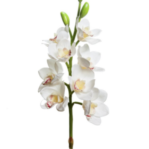 Fiore artificiale in silicone orchidea cimbydium Natural touch white