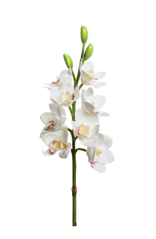 Fiore artificiale in silicone orchidea cimbydium Natural touch white