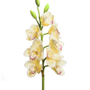 Fiore artificiale in silicone orchidea cimbydium Natural touch yellow