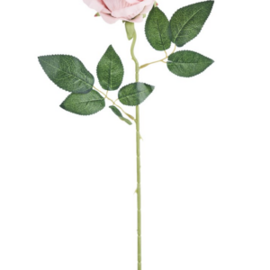 Bocciolo Rosa di colore rosa in velluto