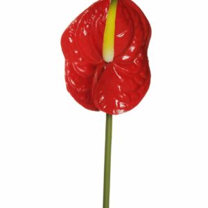 Fiore Artificiale Anthurium in silicone rosso con sfumature