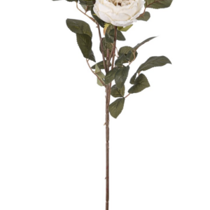 Tralcio con due rose aperte e un bocciolo colore bianco