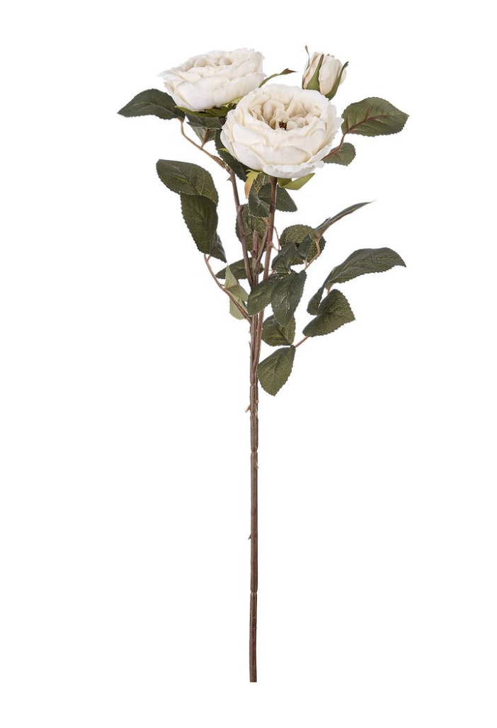 Tralcio con due rose aperte e un bocciolo colore bianco