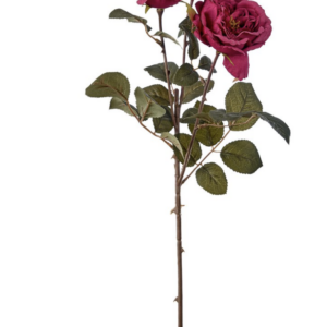 Tralcio con  due rose aperte e un bocciolo colore beauty