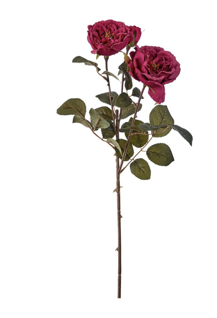 Tralcio con due rose aperte e un bocciolo colore beauty