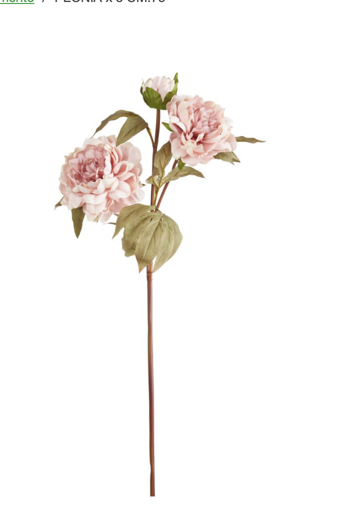 Tralcio con due peonie aperte e un bocciolo colore rosa