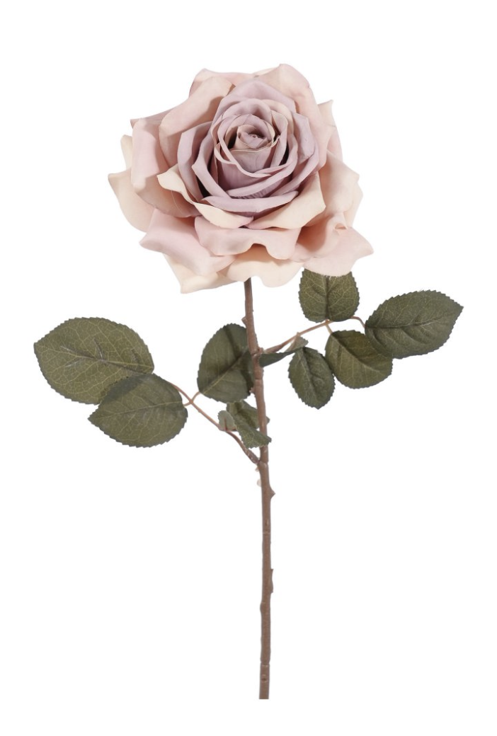 Rosa in tessuto di colore rosa