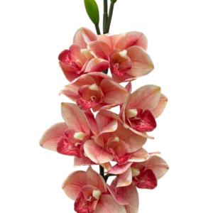 Fiore artificiale in silicone orchidea cimbydium Natural touch Rosa forte con sfumature